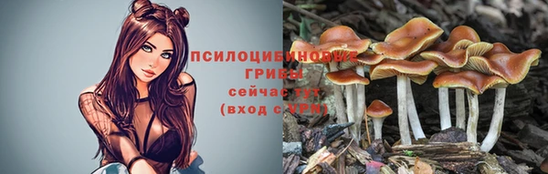 мдма Краснослободск