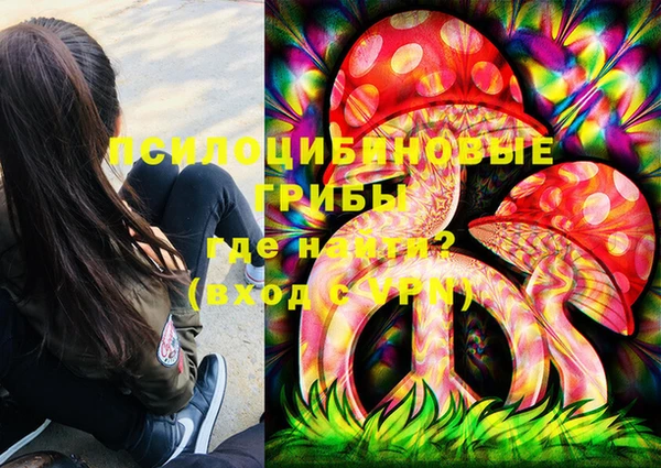 дживик Краснотурьинск